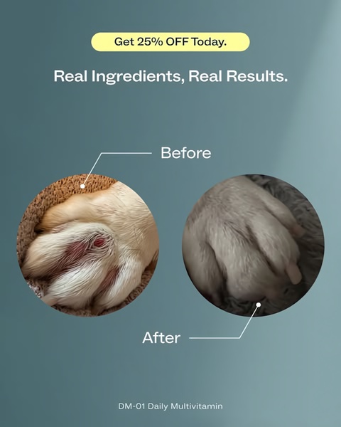 A high-contrast comparison showing the skin health improvement in a pet after using a daily multivitamin supplement.